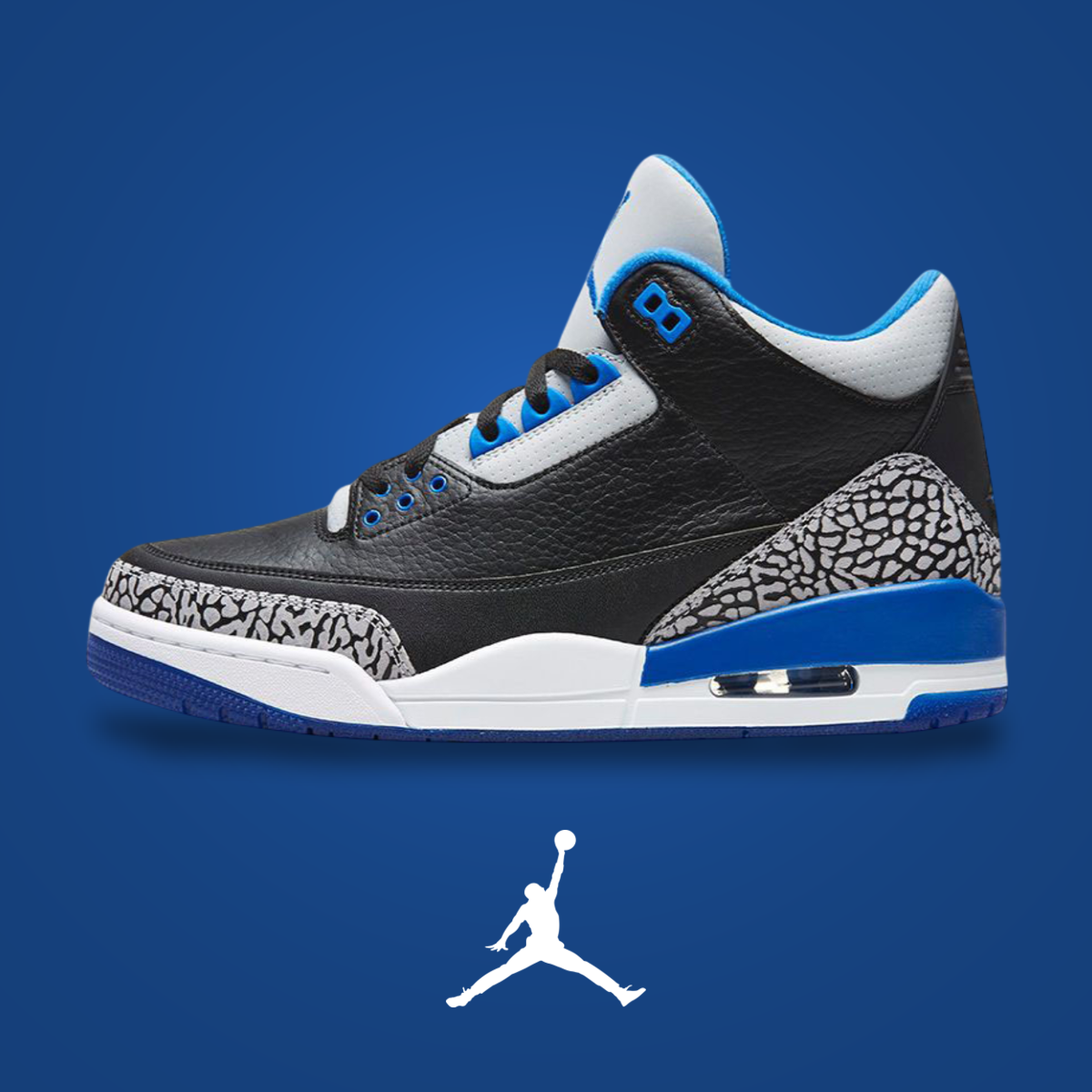 Air Jordan 3 Sport Blue | KicksOnFire